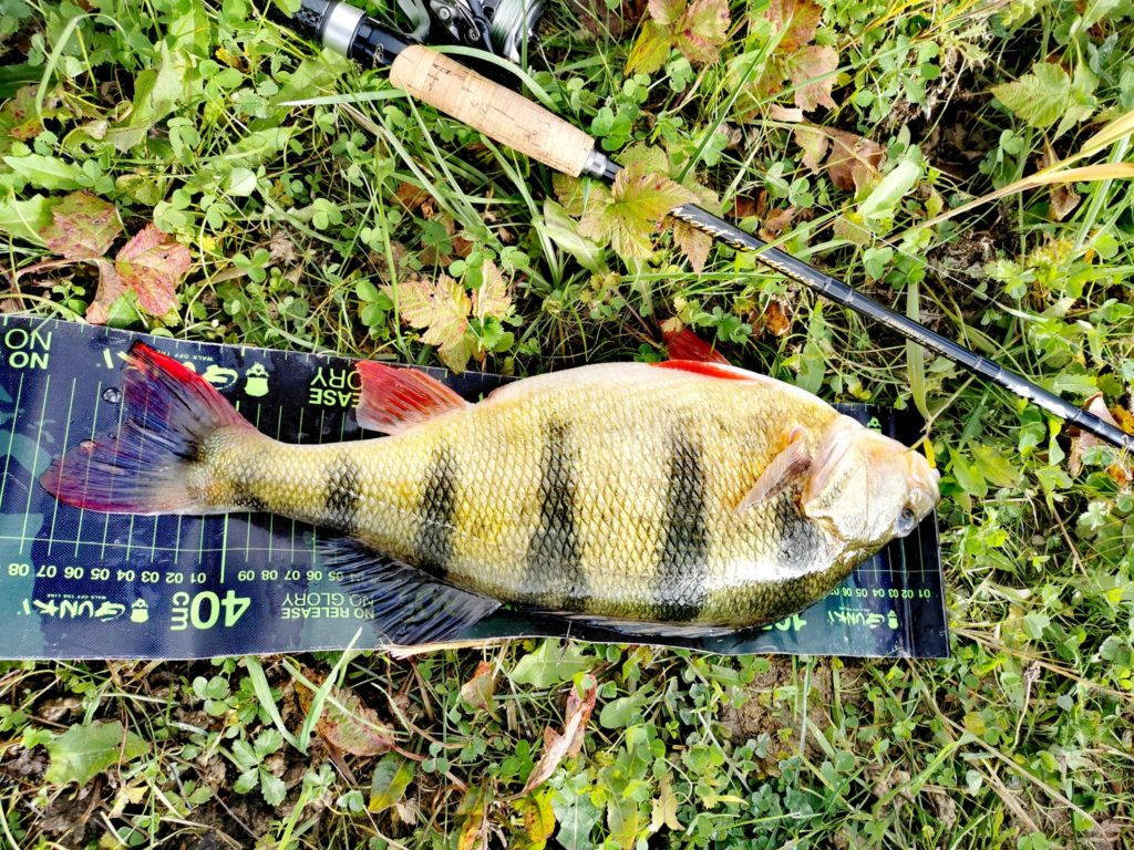 perche posée sur une toise