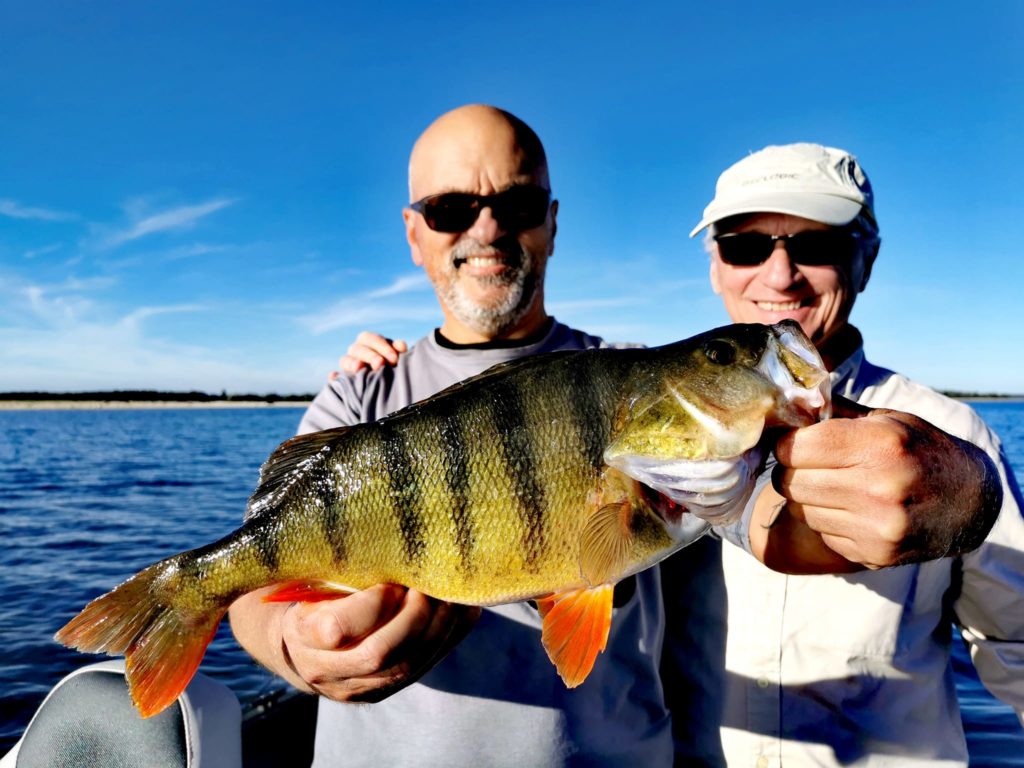 grande perche en automne sur les lacs de la forêt d'orient
